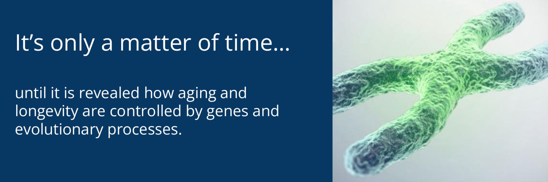 until it is revealed how aging and longevity are controlled by genes and evolutionary processes